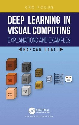 bokomslag Deep Learning in Visual Computing