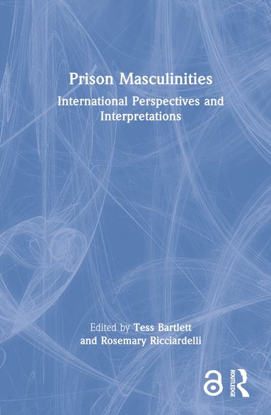 bokomslag Prison Masculinities