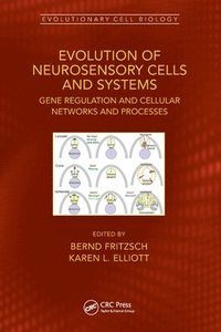 bokomslag Evolution of Neurosensory Cells and Systems