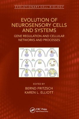 bokomslag Evolution of Neurosensory Cells and Systems