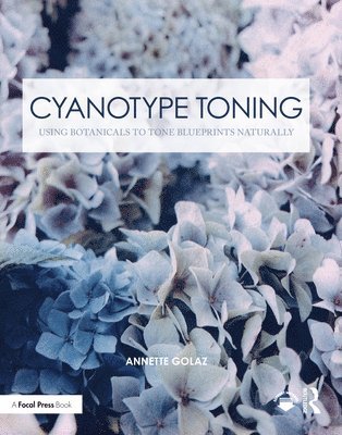 Cyanotype Toning 1