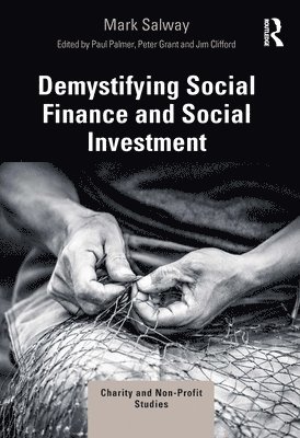 bokomslag Demystifying Social Finance and Social Investment