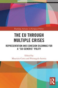 bokomslag The EU through Multiple Crises