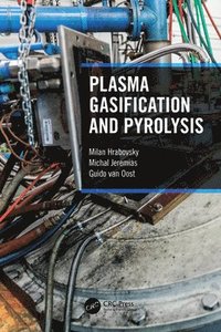 bokomslag Plasma Gasification and Pyrolysis