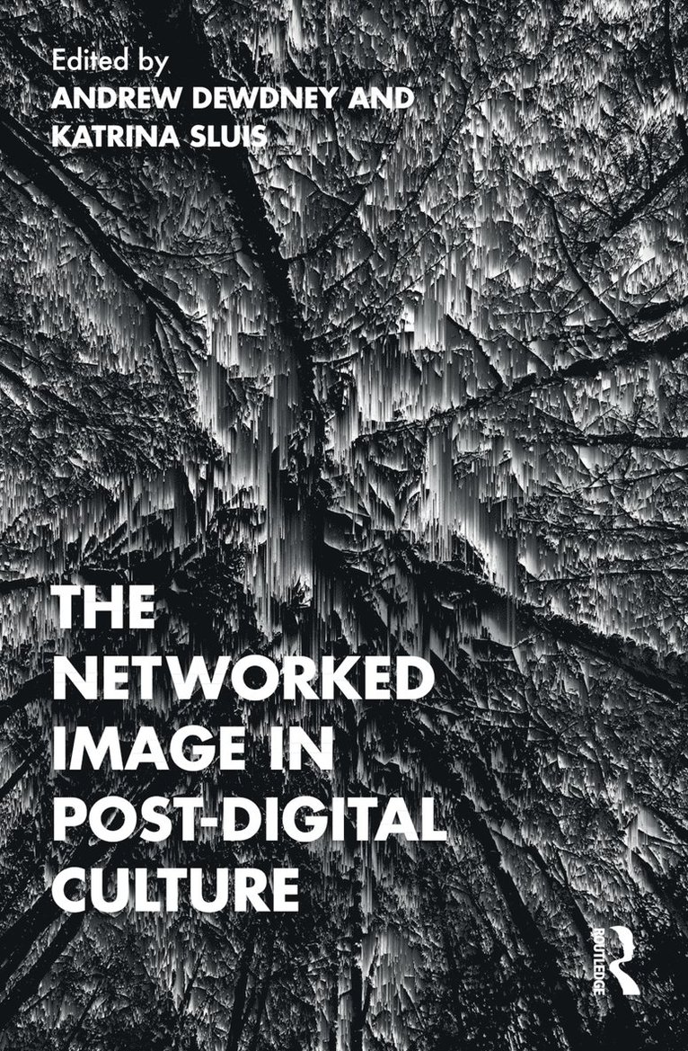 Networked Image in Post-Digital Culture