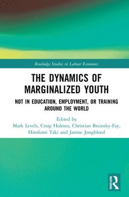 bokomslag The Dynamics of Marginalized Youth