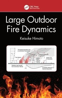 bokomslag Large Outdoor Fire Dynamics