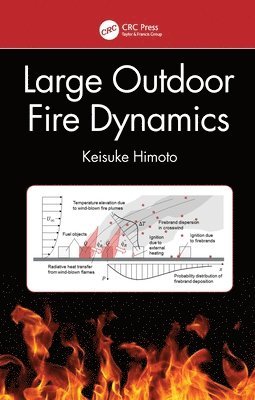 Large Outdoor Fire Dynamics 1