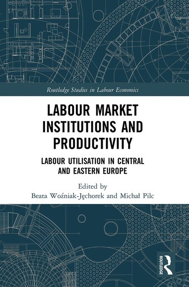 Beata Woźniak-Jęchorek, Michał Pilc - Labour Market Institutions and Productivity, Häftad