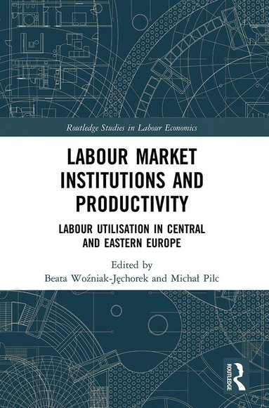 bokomslag Labour Market Institutions and Productivity