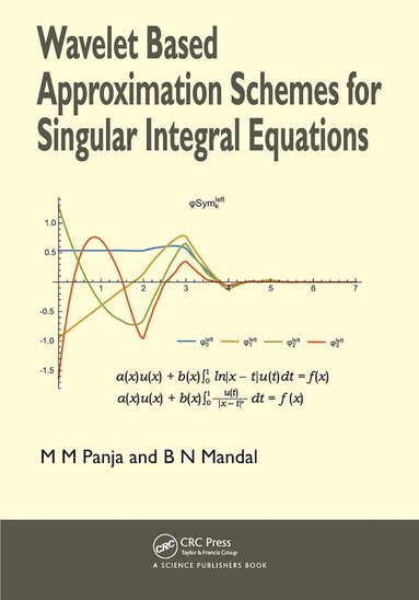 Madan Mohan Panja, Birendra Nath Mandal - Wavelet Based Approximation Schemes for Singular Integral Equations, Häftad