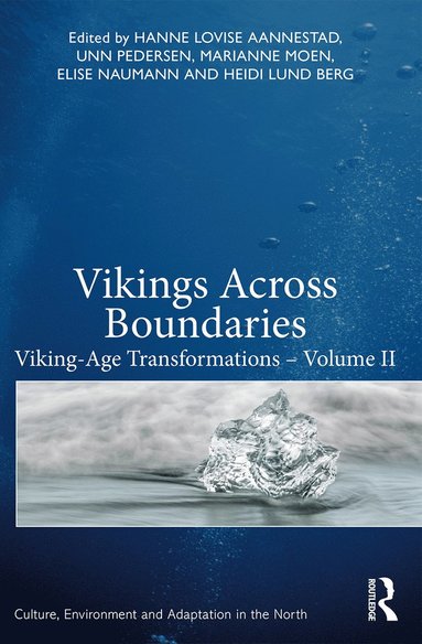 bokomslag Vikings Across Boundaries