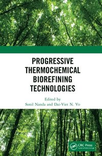 bokomslag Progressive Thermochemical Biorefining Technologies
