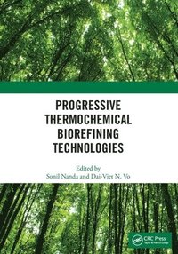 bokomslag Progressive Thermochemical Biorefining Technologies