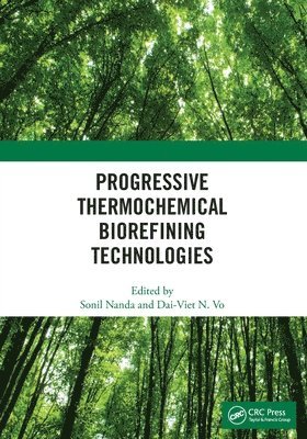 Sonil Nanda, Dai-Viet N. Vo - Progressive Thermochemical Biorefining Technologies, Häftad