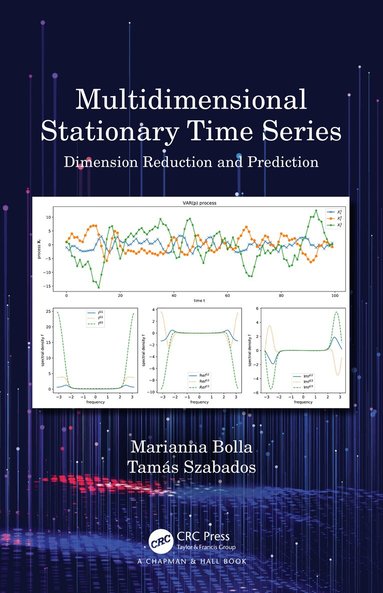 Marianna Bolla, Tamás Szabados - Multidimensional Stationary Time Series, Inbunden