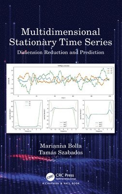 Multidimensional Stationary Time Series 1