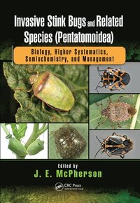 bokomslag Invasive Stink Bugs and Related Species (Pentatomoidea)