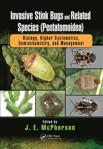 bokomslag Invasive Stink Bugs and Related Species (Pentatomoidea)