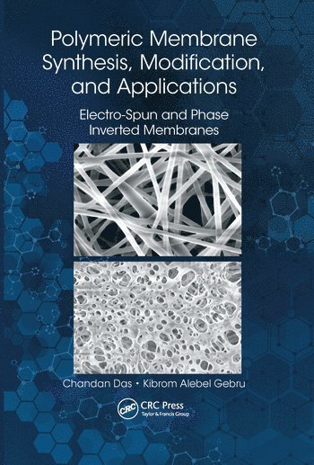 bokomslag Polymeric Membrane Synthesis, Modification, and Applications