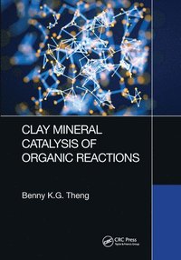 bokomslag Clay Mineral Catalysis of Organic Reactions