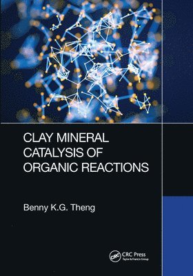 bokomslag Clay Mineral Catalysis of Organic Reactions