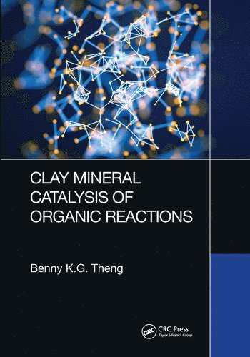 bokomslag Clay Mineral Catalysis of Organic Reactions