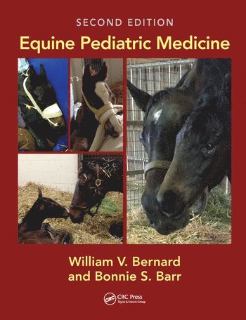 bokomslag Equine Pediatric Medicine