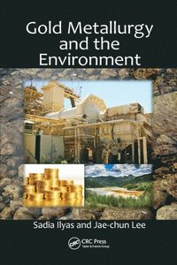 bokomslag Gold Metallurgy and the Environment
