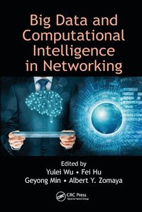 bokomslag Big Data and Computational Intelligence in Networking
