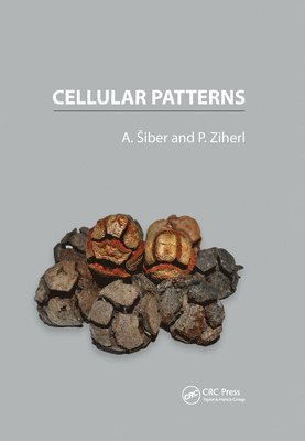 Antonio Siber, Primoz Ziherl - Cellular Patterns, Häftad