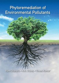 bokomslag Phytoremediation of Environmental Pollutants