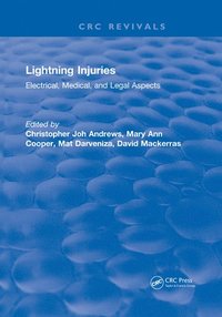 bokomslag Lightning Injuries