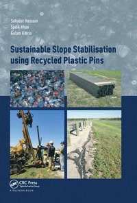 bokomslag Sustainable Slope Stabilisation using Recycled Plastic Pins