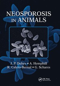 bokomslag Neosporosis in Animals