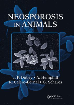 bokomslag Neosporosis in Animals