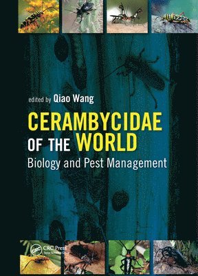 Cerambycidae of the World 1