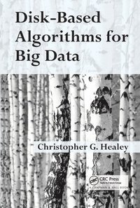 bokomslag Disk-Based Algorithms for Big Data