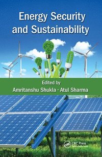 bokomslag Energy Security and Sustainability