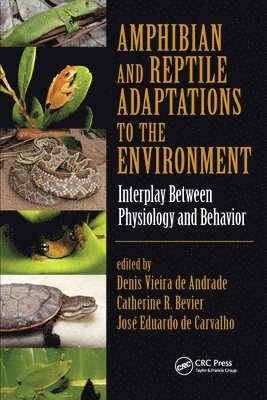 bokomslag Amphibian and Reptile Adaptations to the Environment
