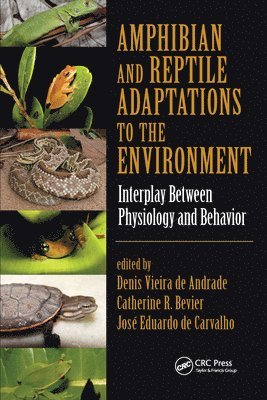 Denis Vieira de Andrade, Catherine R. Bevier, José Eduardo de Carvalho, Jose Eduardo de Carvalho - Amphibian and Reptile Adaptations to the Environment, Häftad