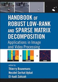 bokomslag Handbook of Robust Low-Rank and Sparse Matrix Decomposition