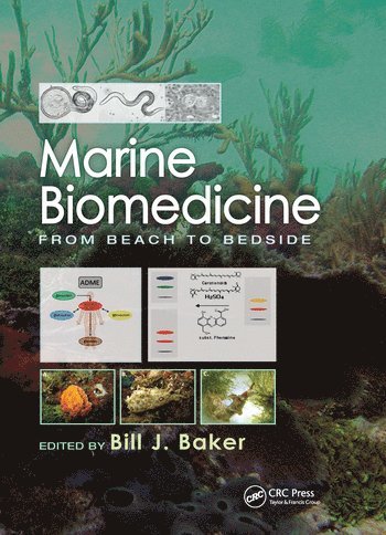 bokomslag Marine Biomedicine