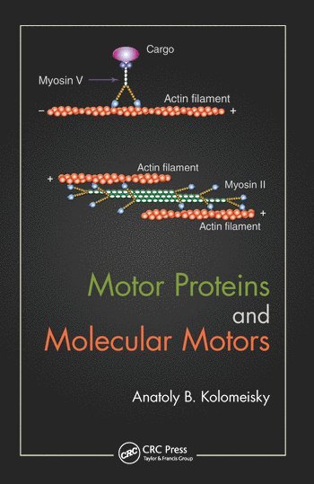 bokomslag Motor Proteins and Molecular Motors