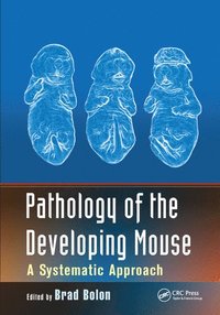 bokomslag Pathology of the Developing Mouse