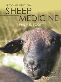 bokomslag Sheep Medicine