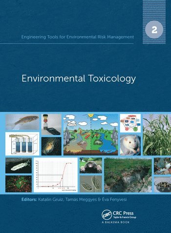 bokomslag Engineering Tools for Environmental Risk Management