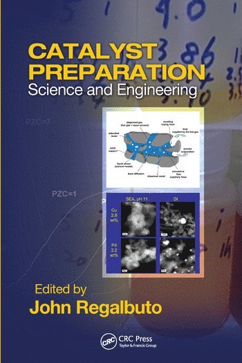 bokomslag Catalyst Preparation