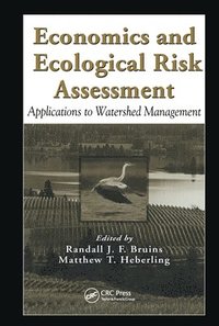 bokomslag Economics and Ecological Risk Assessment