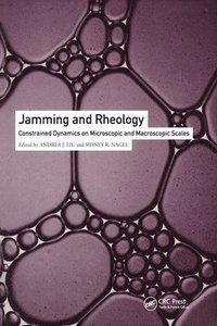 bokomslag Jamming and Rheology